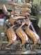 carousel chooser